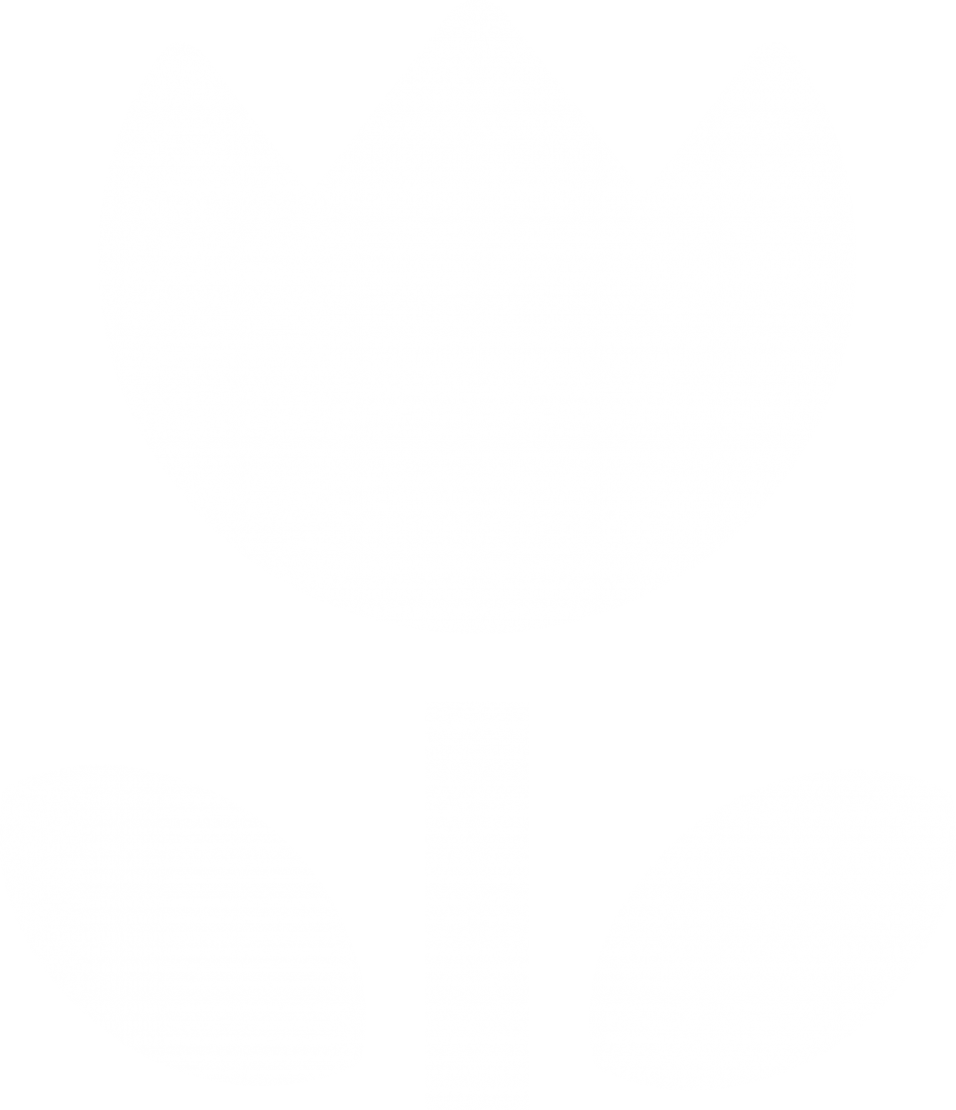 17168fbd0e130.png