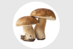 567e697918e19.png