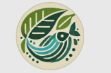 dff66120fd5b2.png