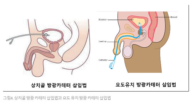d12b8f245b973.png