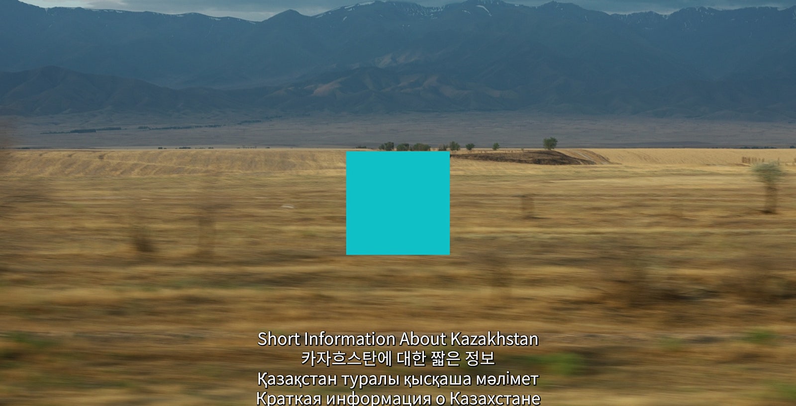 f22356a6cd4f7.jpeg