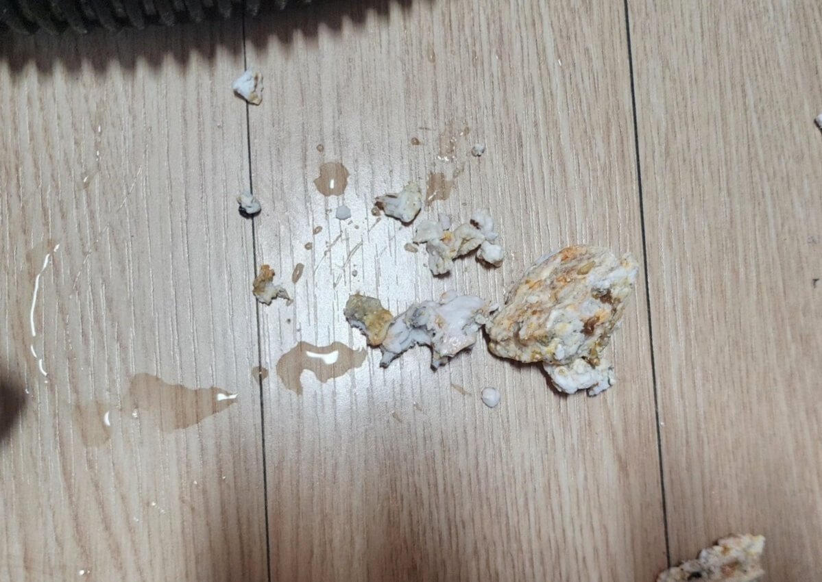 하수구에서 나온 찌꺼기들
