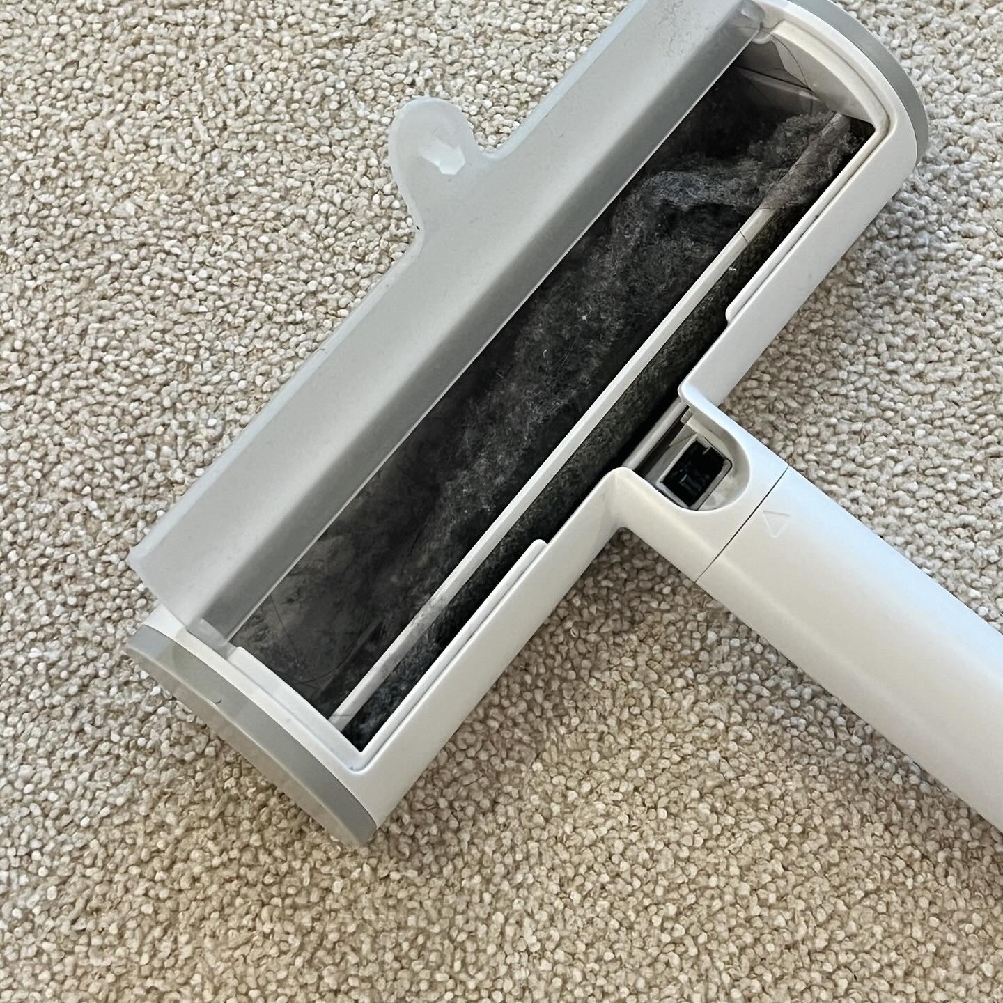 d4238e31f271c.jpg