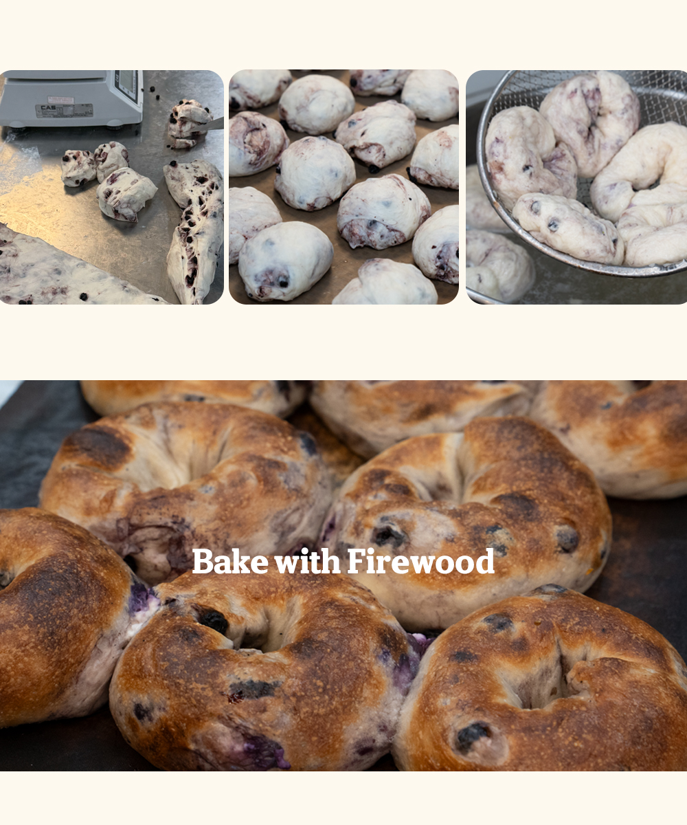 블루베리크림치즈 베이글-Blueberry CreamCheese Bagel