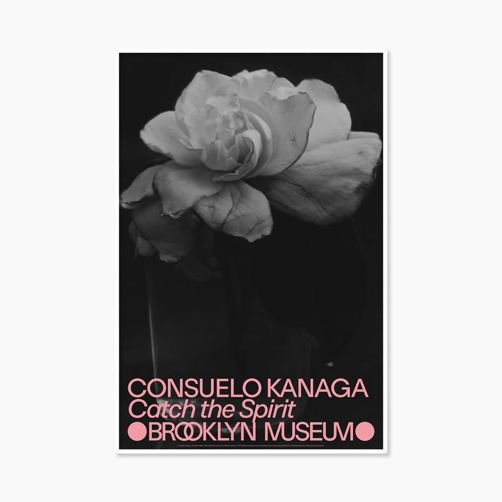 콘수엘로 카나가 흑백 사진 꽃 플라워 아트포스터 인테리어포스터 거실 액자
