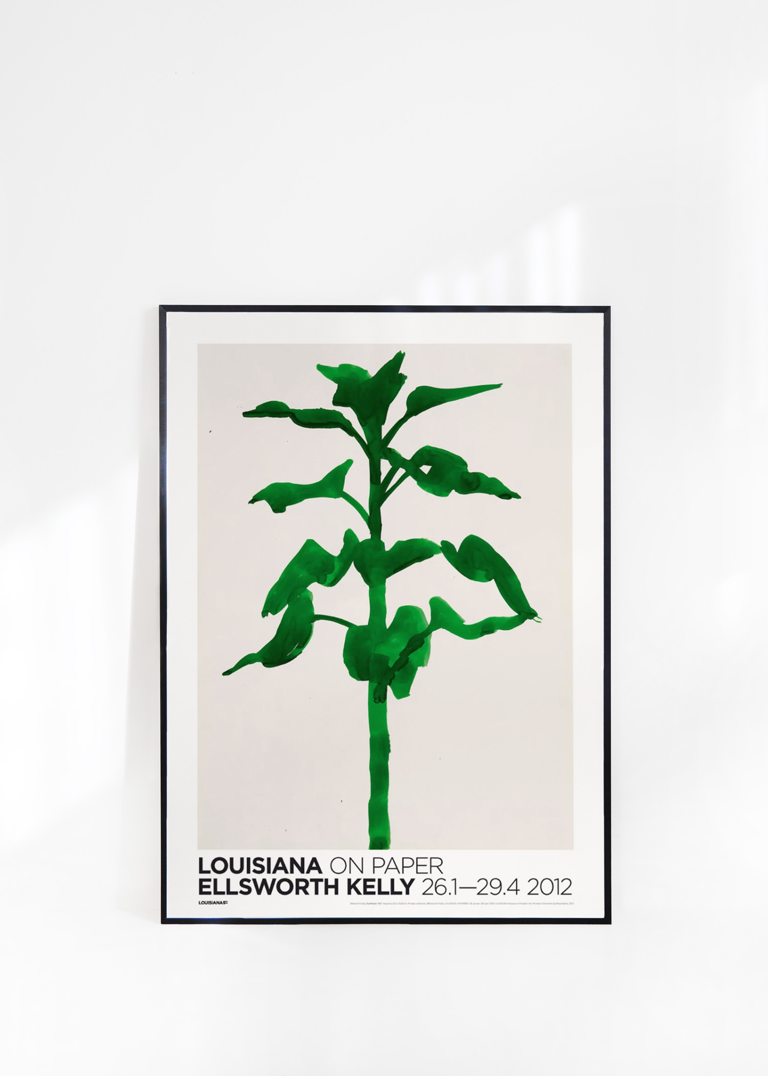 엘스워스 켈리 식물포스터 액자