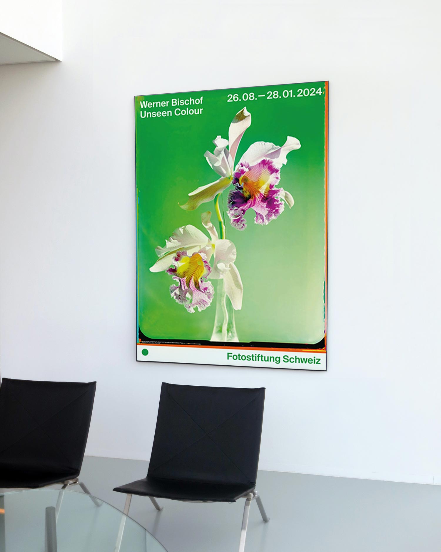 베르너 비쇼프 꽃 플라워 자연 사진 대형 아트포스터 인테리어포스터 거실 액자