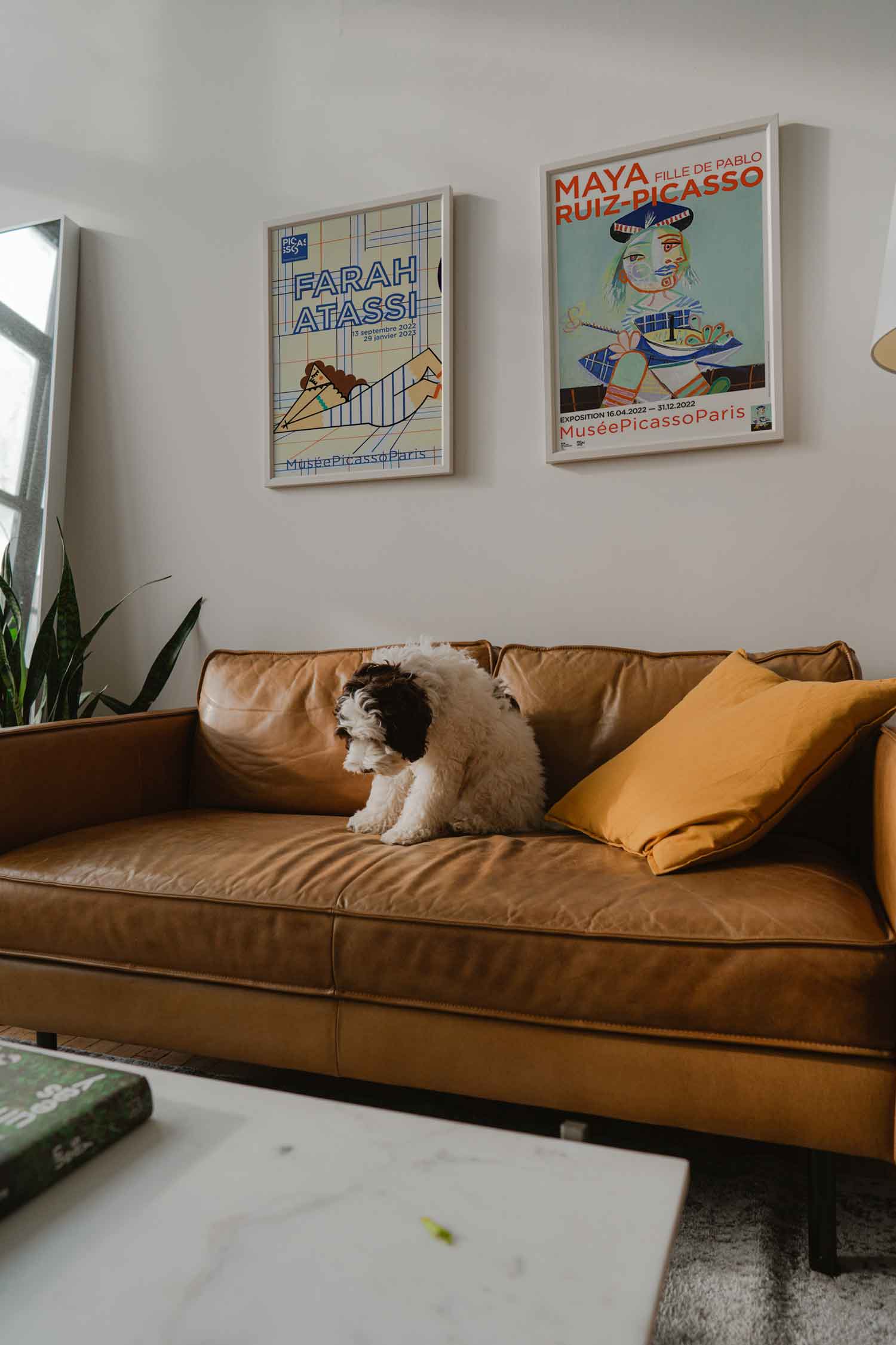 파라 아타시 아트포스터