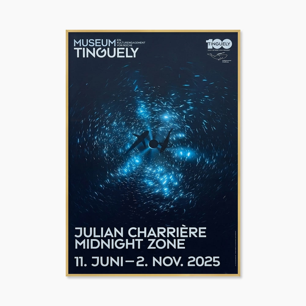 줄리안 샤리에르 Julian Charrière Midnight Zone 바다 돌고래 사진 그래픽 대형아트포스터 인테리어액자 카페포스터