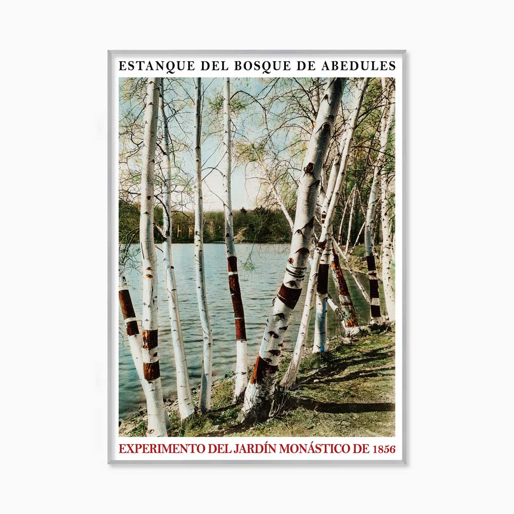 [souffle] Bosque de Abedule