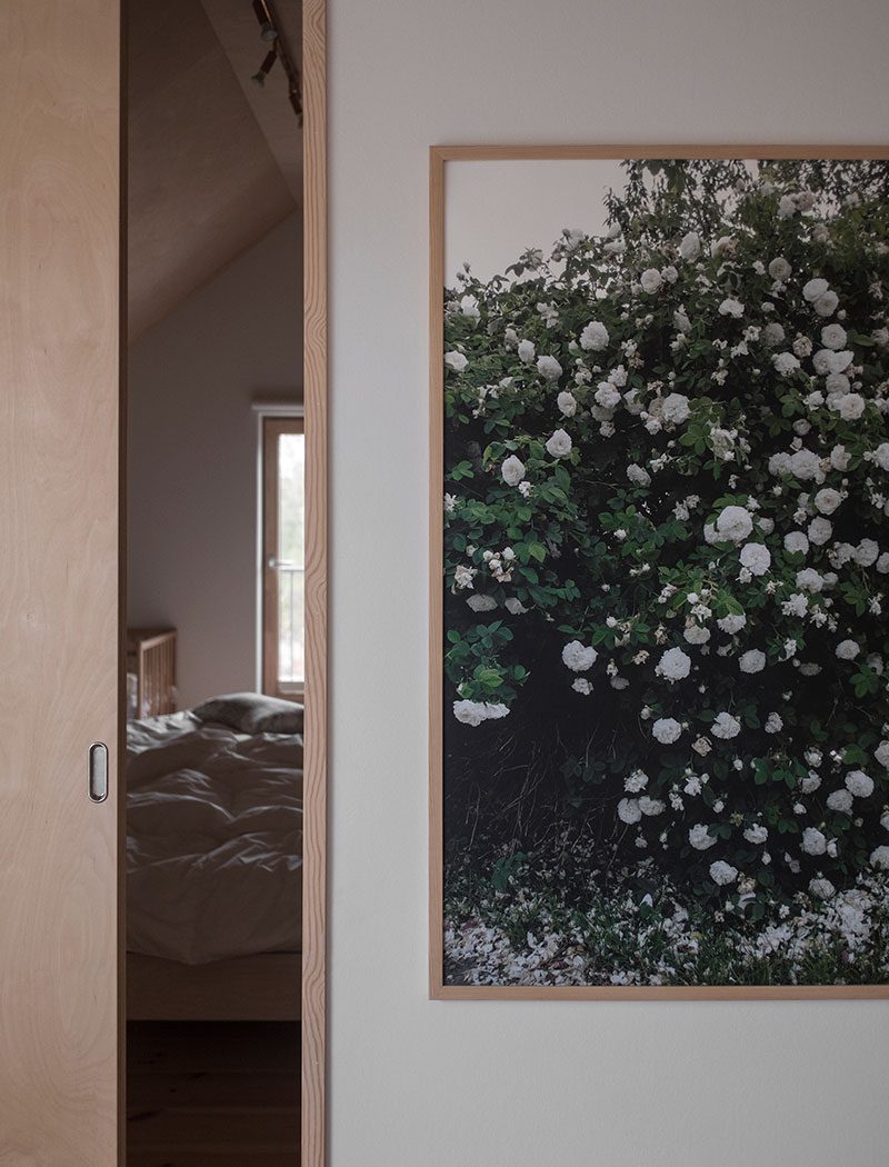 장미 김나영포스터