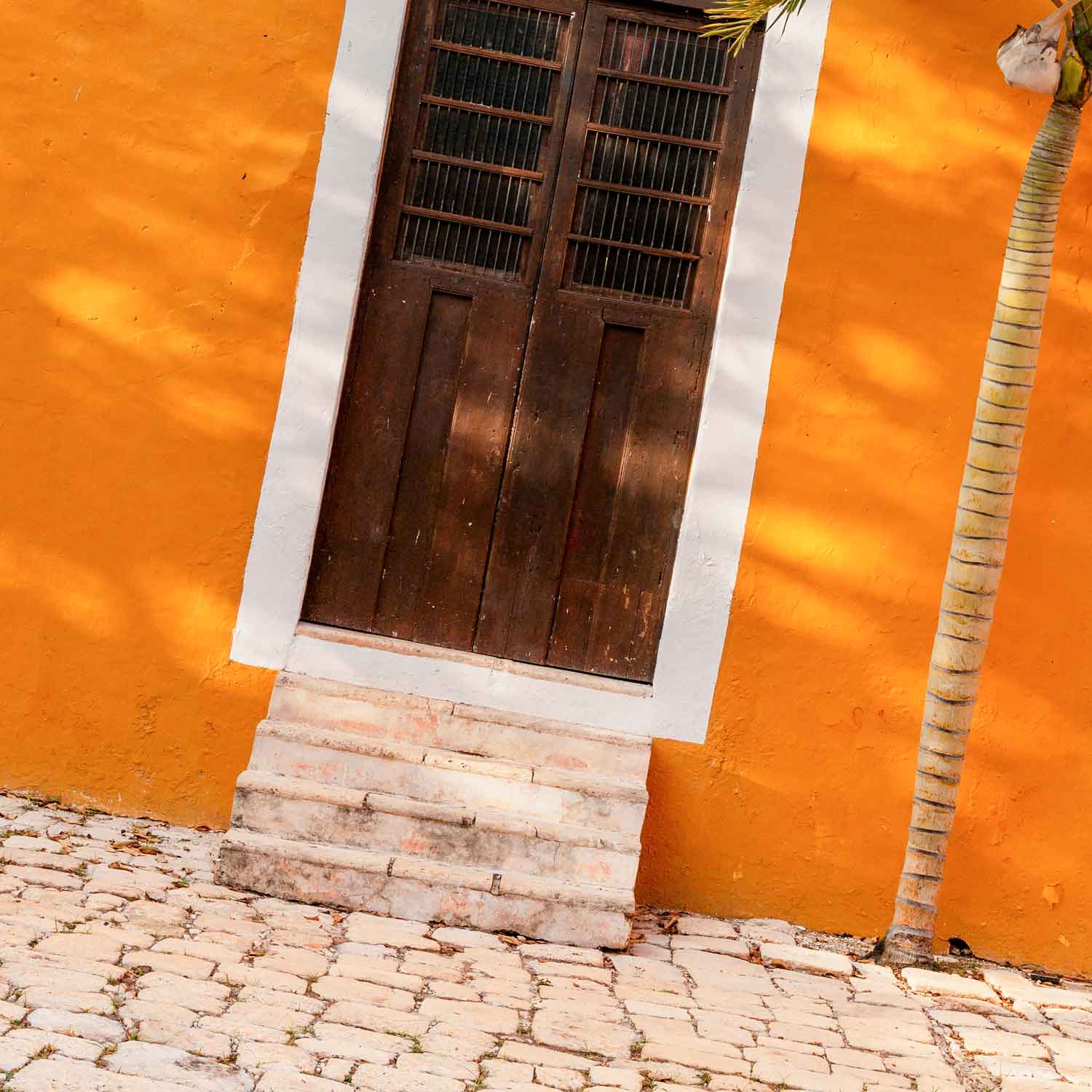 수플 사진 아트포스터 인테리어포스터 야자수 액자