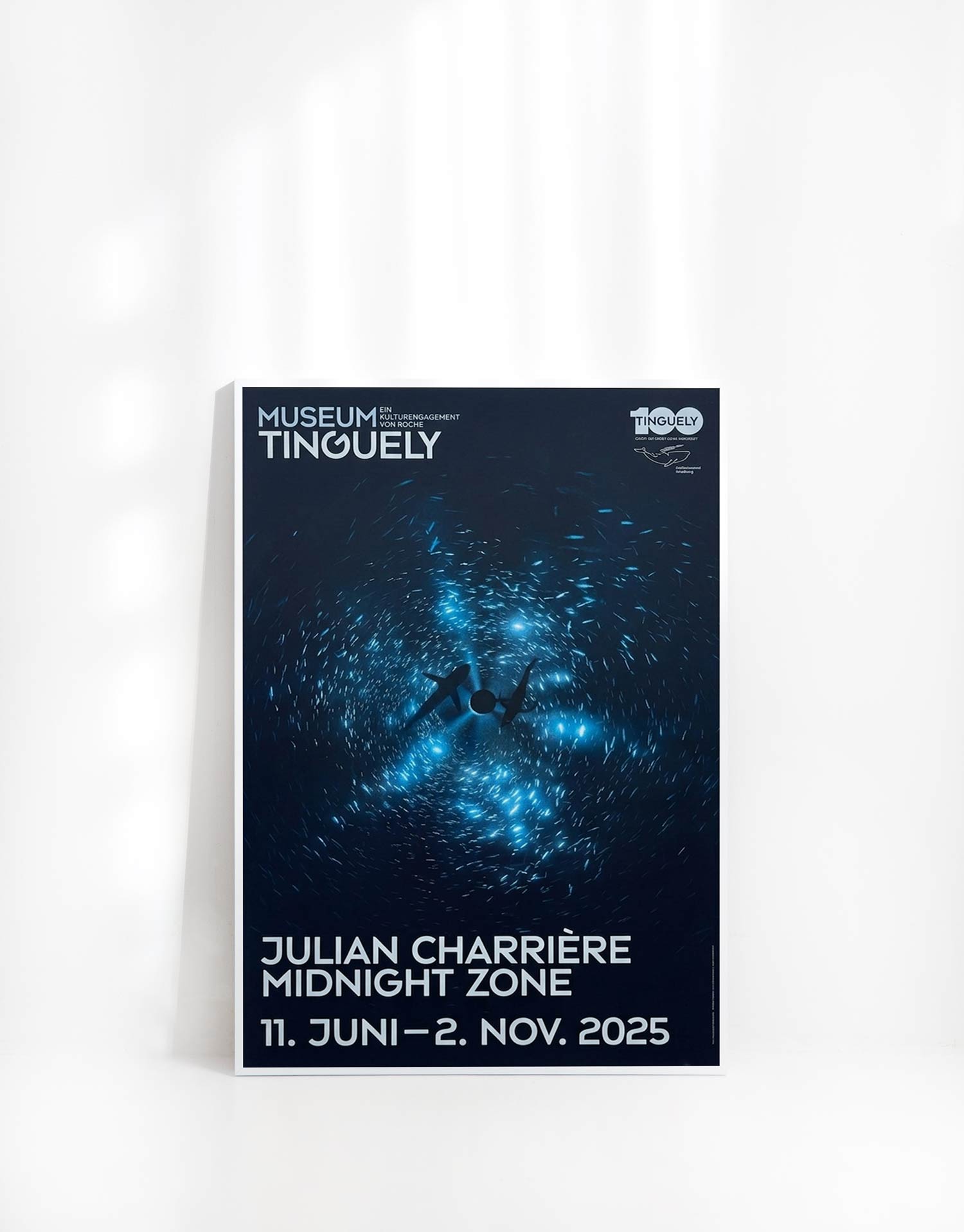 줄리안 샤리에르 Julian Charrière Midnight Zone 바다 돌고래 사진 그래픽 대형아트포스터 인테리어액자 카페포스터