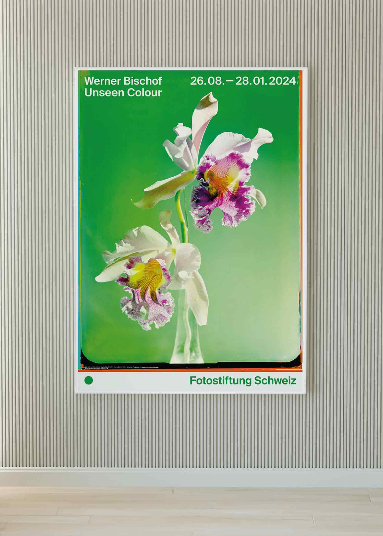 베르너 비쇼프 꽃 플라워 자연 사진 대형 아트포스터 인테리어포스터 거실 액자