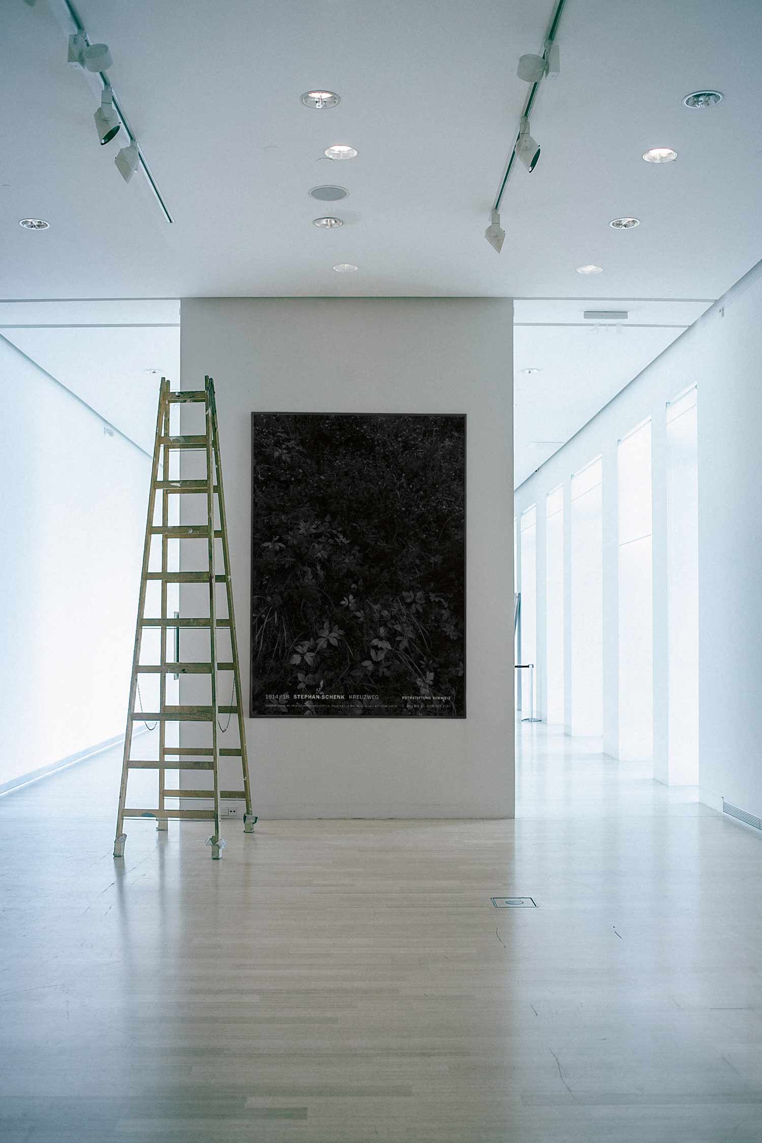 스테판 셴크 꽃 플라워 자연 사진 대형 아트포스터 인테리어포스터 거실 액자