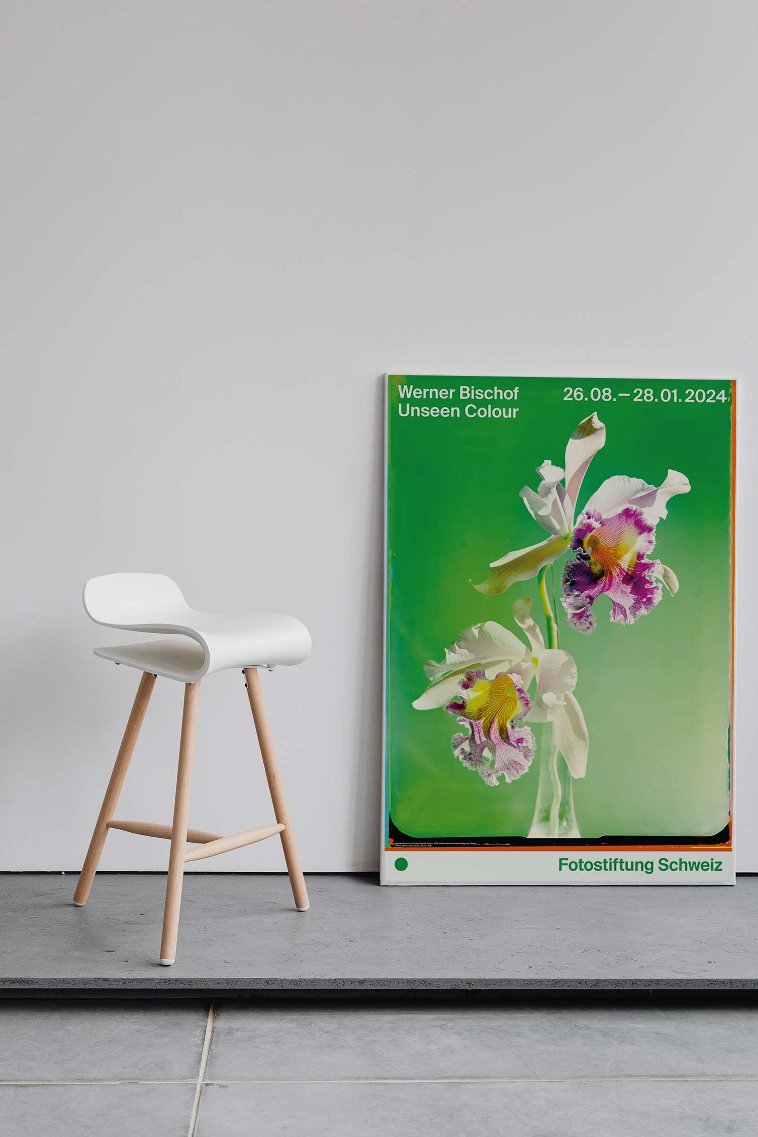 베르너 비쇼프 꽃 플라워 자연 사진 대형 아트포스터 인테리어포스터 거실 액자