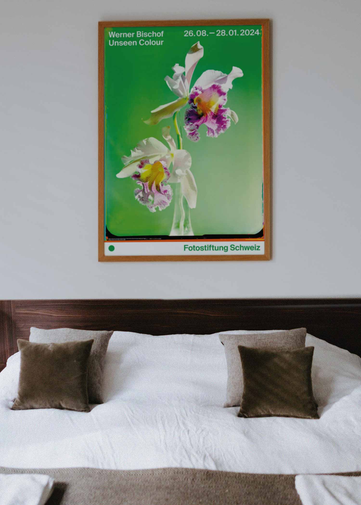 베르너 비쇼프 꽃 플라워 자연 사진 대형 아트포스터 인테리어포스터 거실 액자