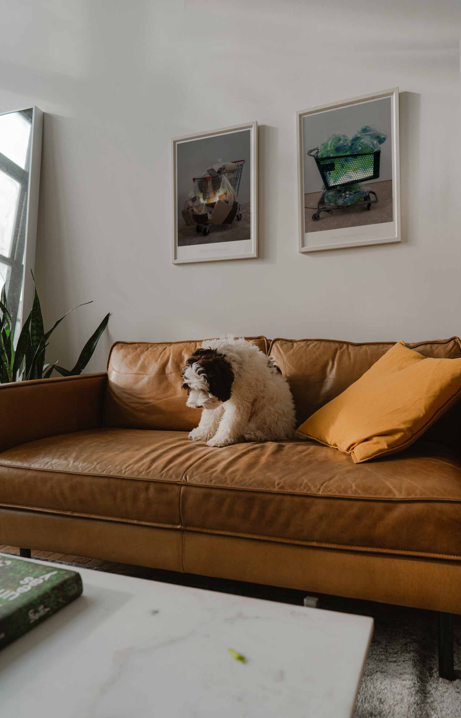 조쉬 클라인 아트포스터