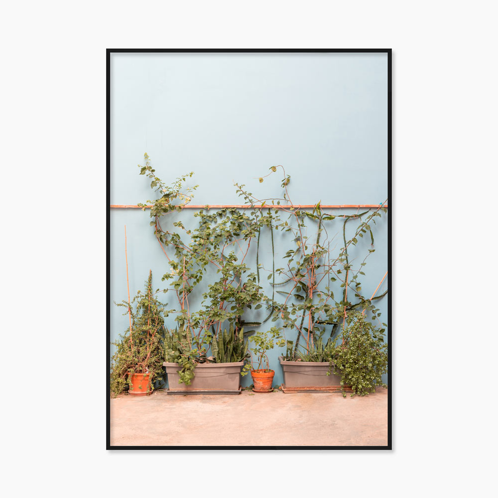 [souffle] La Vila Joiosa