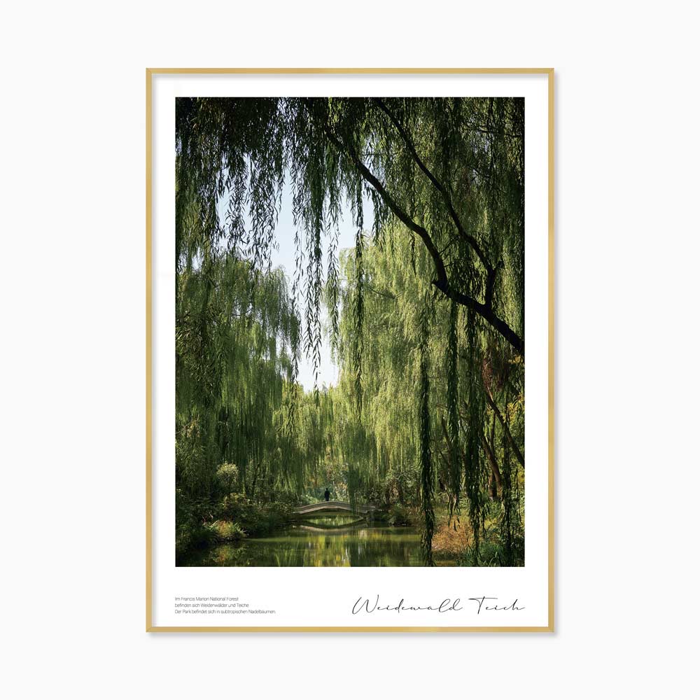 [souffle] Weidenwald Teich