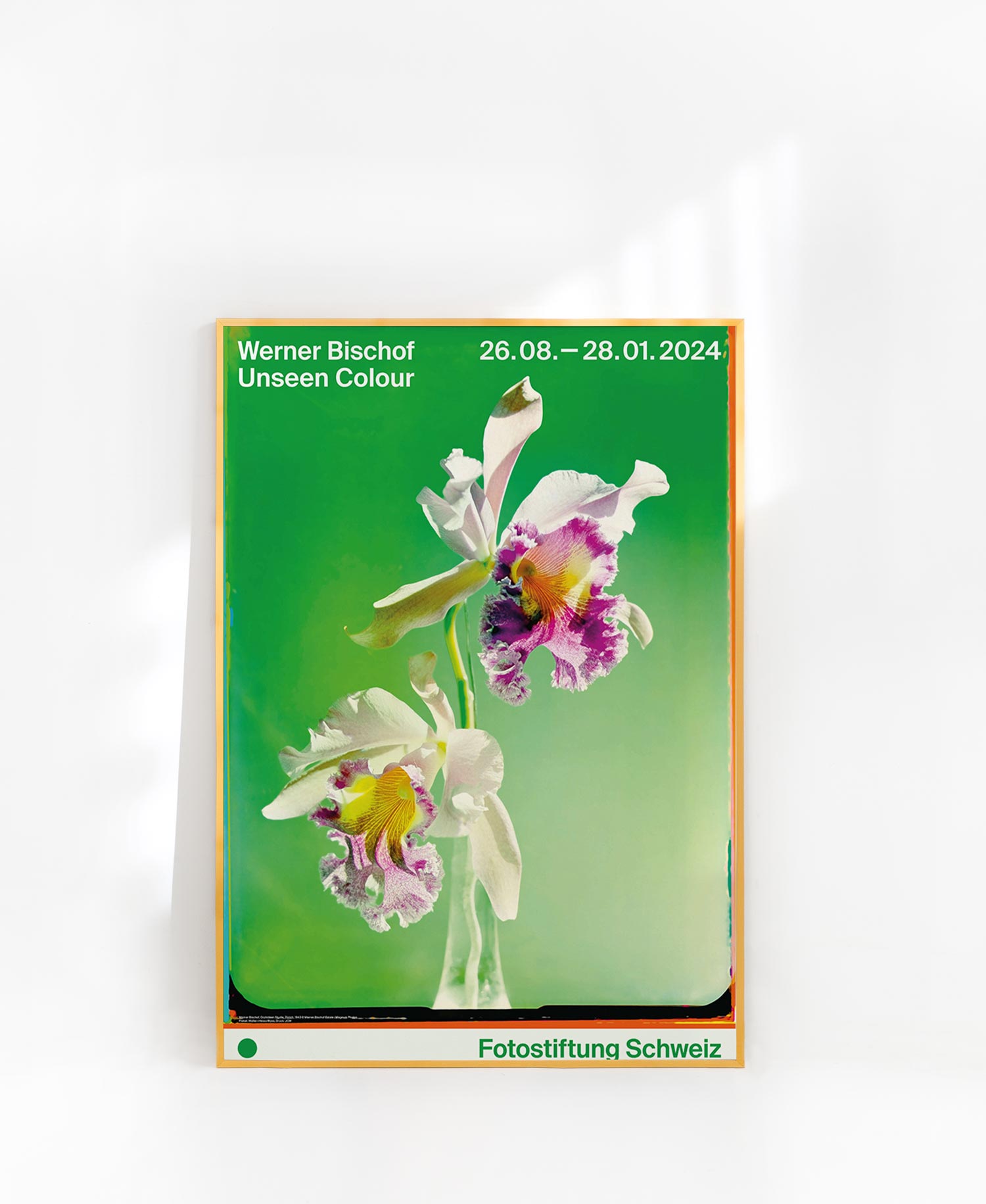 베르너 비쇼프 꽃 플라워 자연 사진 대형 아트포스터 인테리어포스터 거실 액자