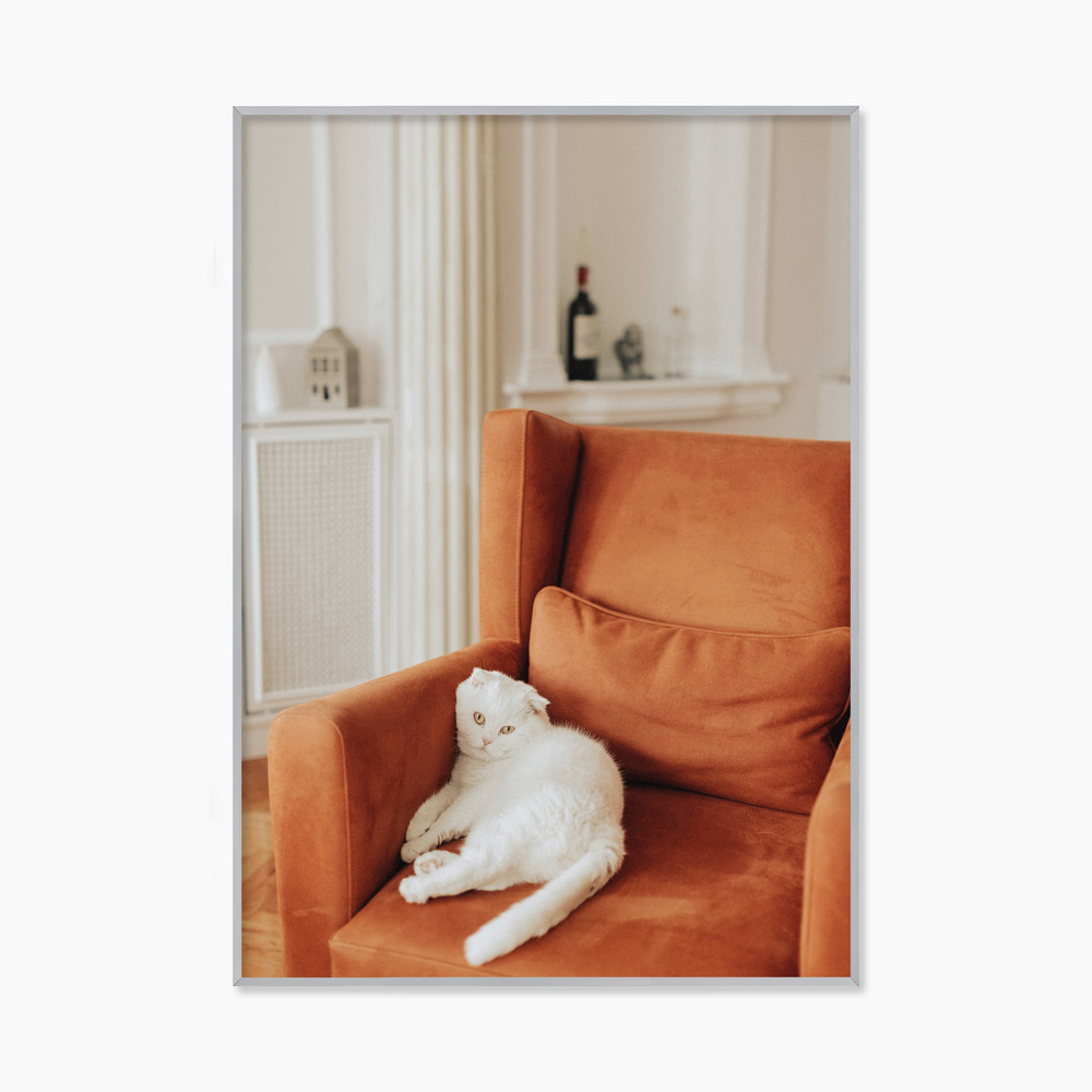 [souffle] Orange