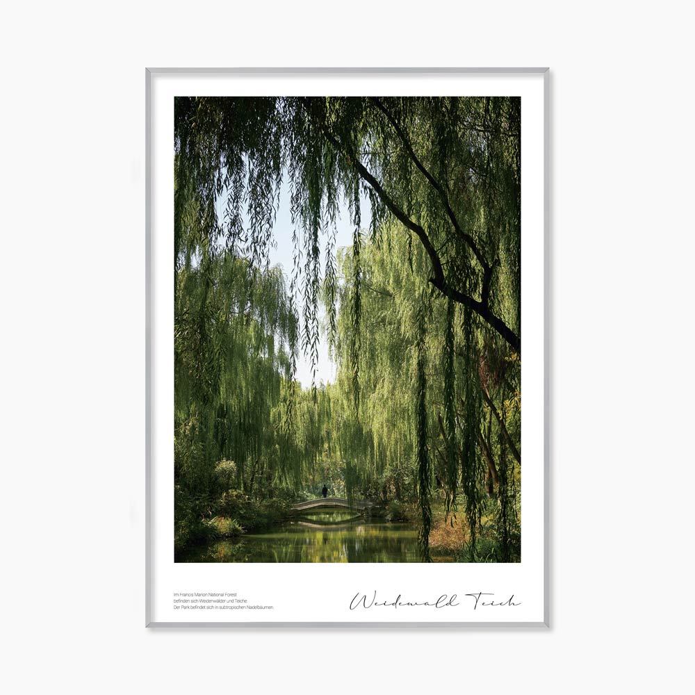 [souffle] Weidenwald Teich