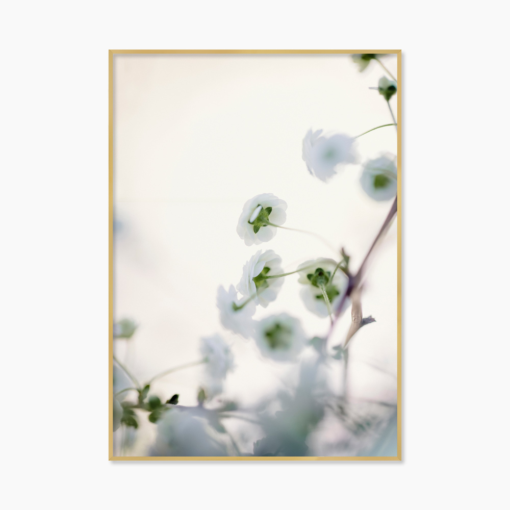 [souffle] White Flowers