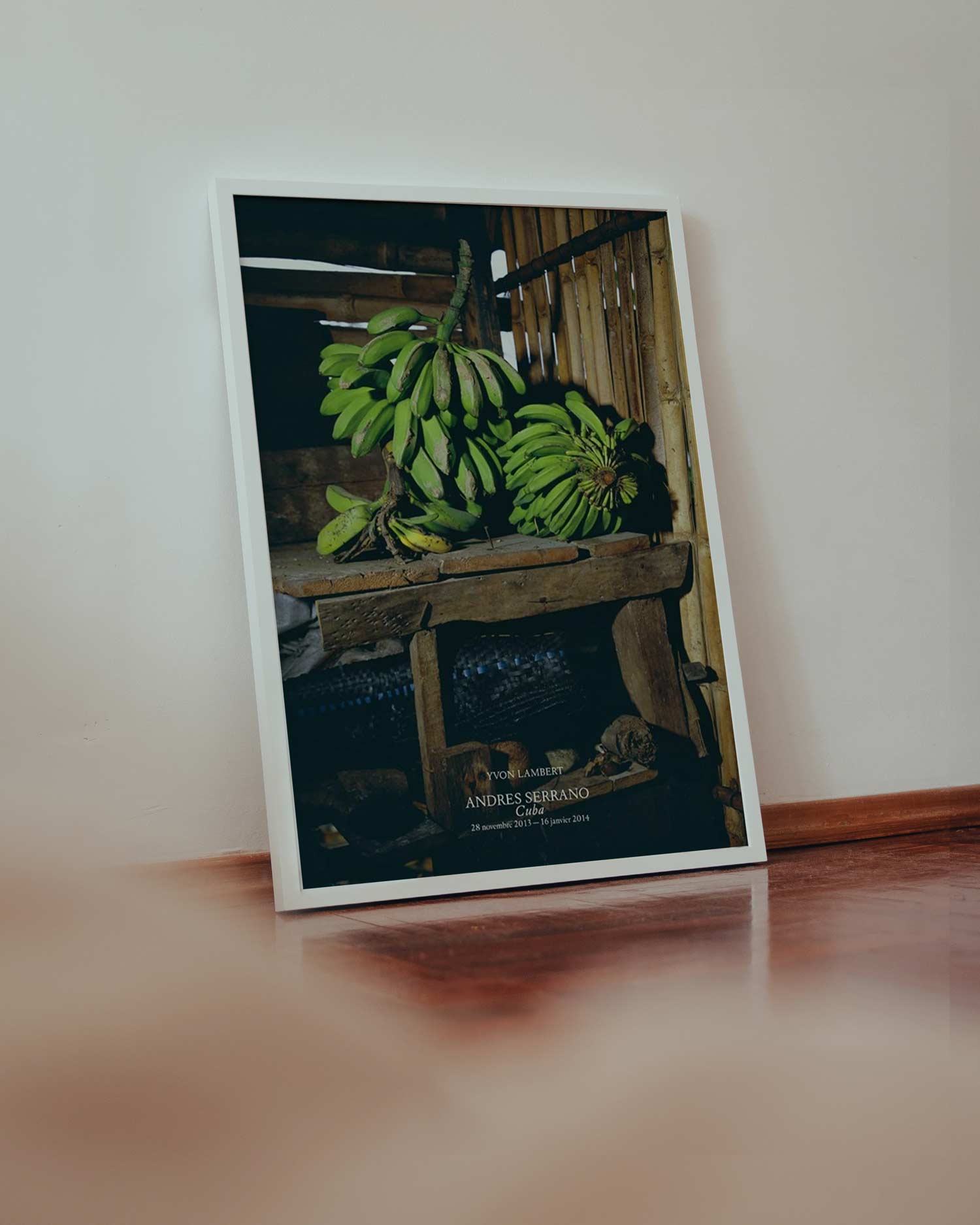 안드레스 세라노 바나나포스터