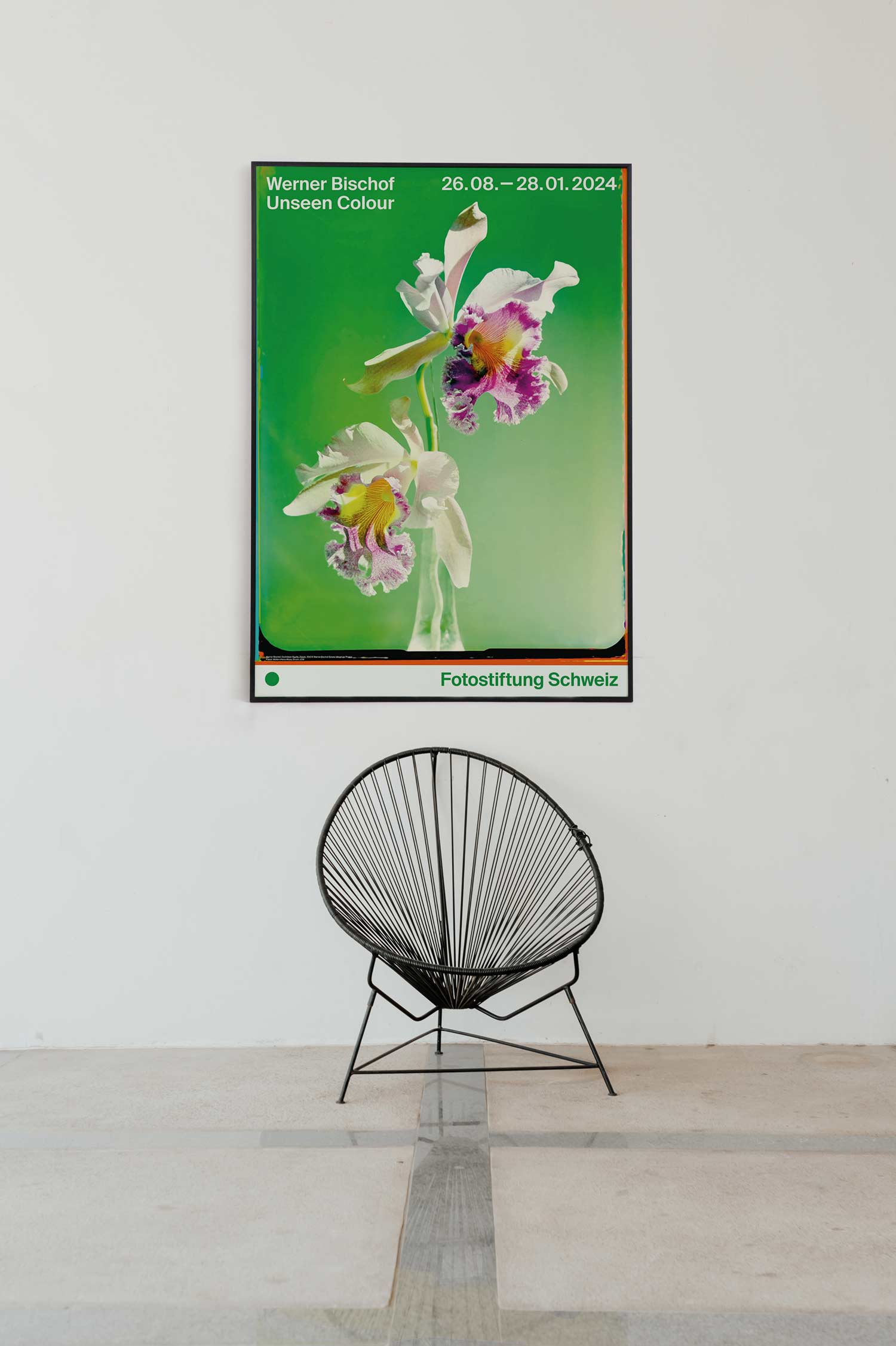 베르너 비쇼프 꽃 플라워 자연 사진 대형 아트포스터 인테리어포스터 거실 액자