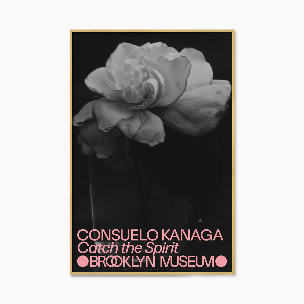 콘수엘로 카나가 흑백 사진 꽃 플라워 아트포스터 인테리어포스터 거실 액자
