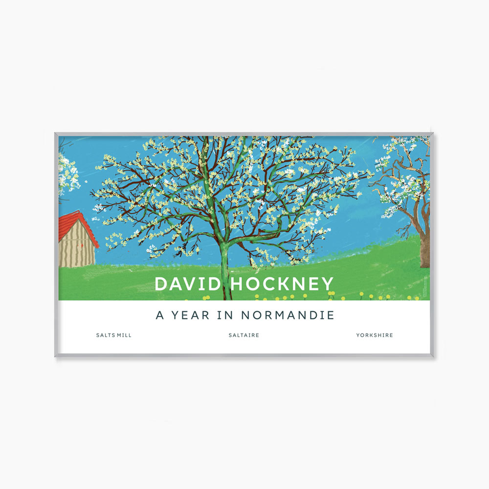 [데이비드 호크니] Blossom Tree 99.5 X 58.5cm