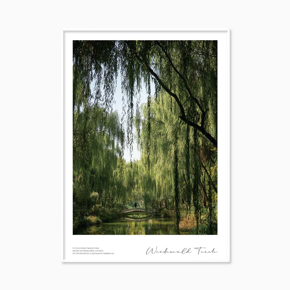 [souffle] Weidenwald Teich