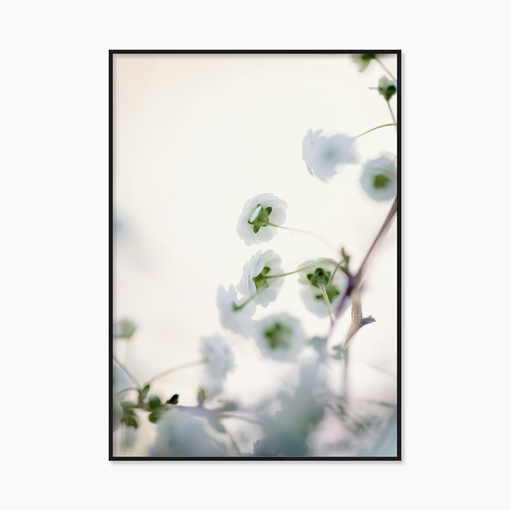 [souffle] White Flowers