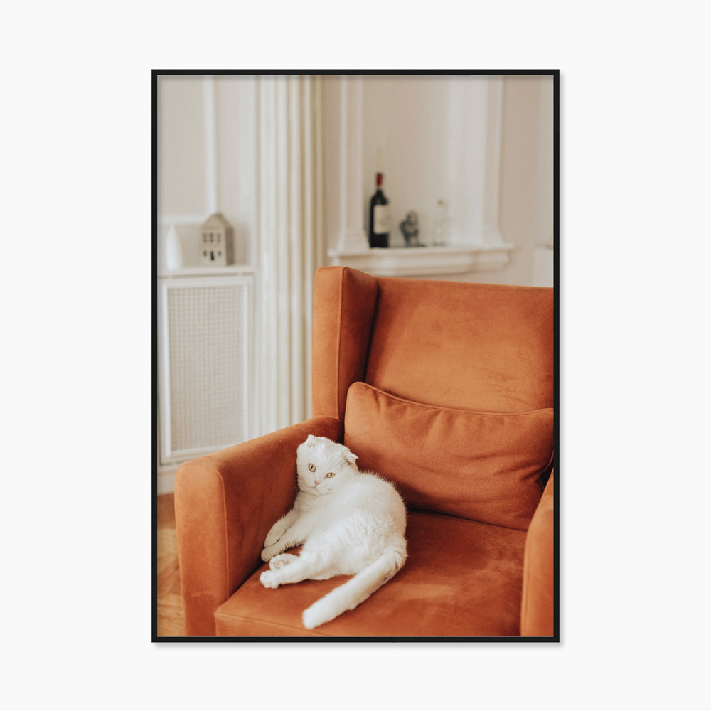 [souffle] Orange