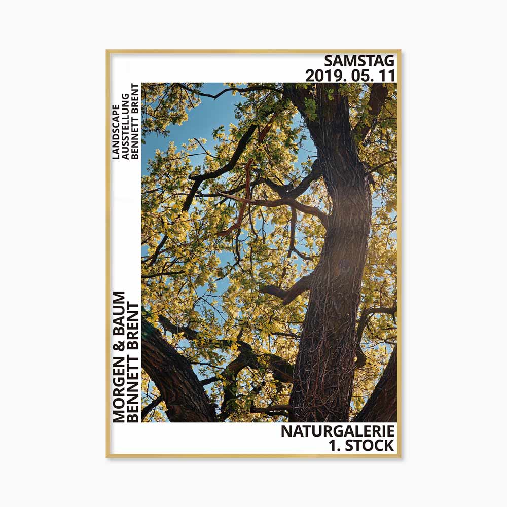 [souffle] Morgen and Baum