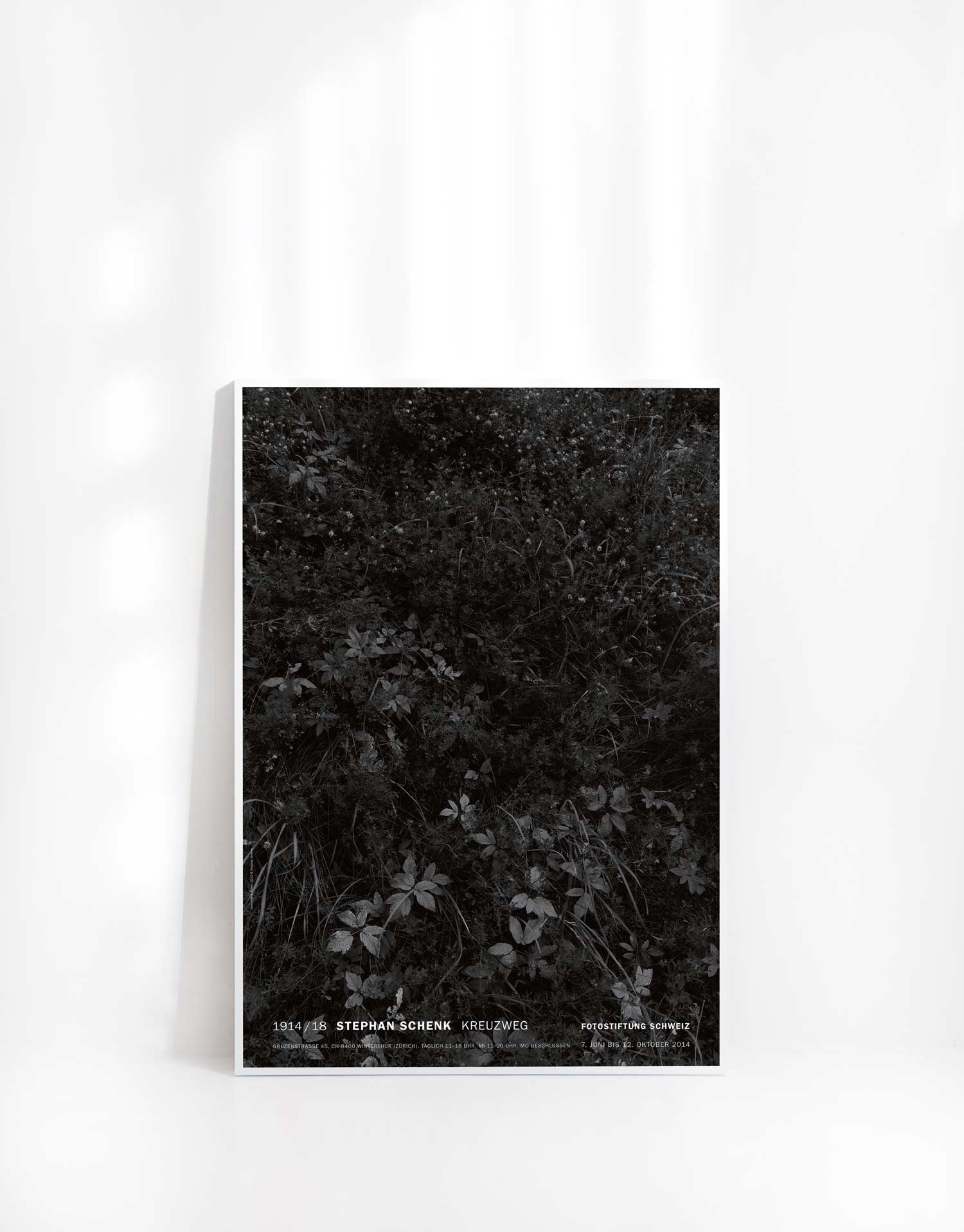 스테판 셴크 꽃 플라워 자연 사진 대형 아트포스터 인테리어포스터 거실 액자