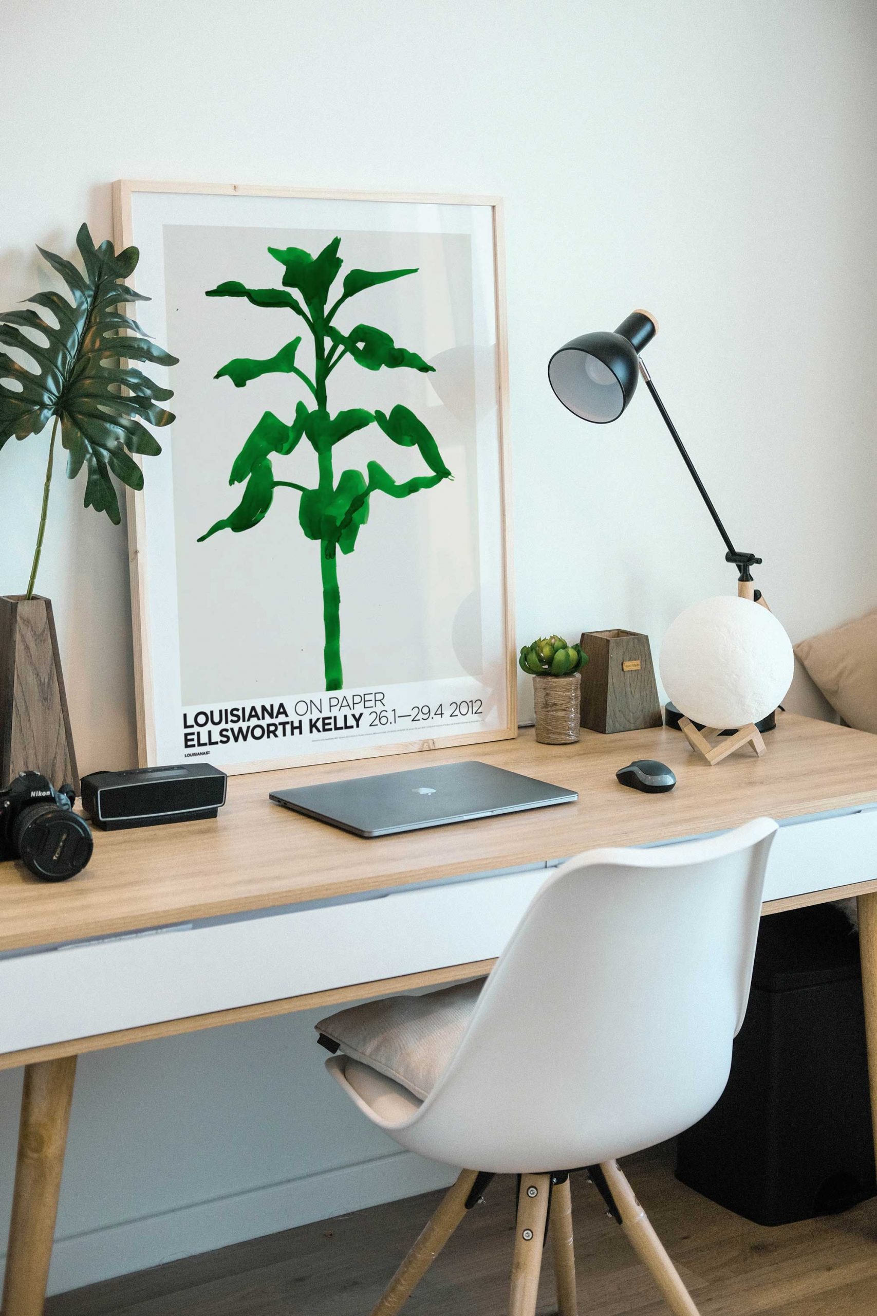 엘스워스 켈리 식물포스터