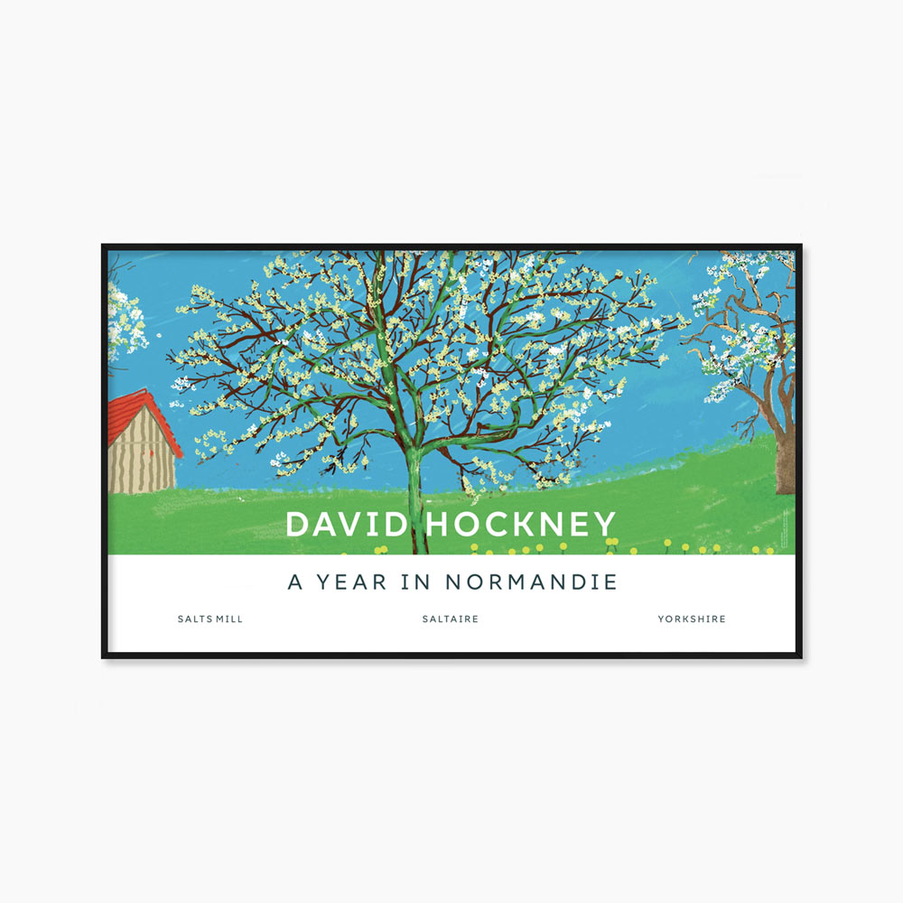 [데이비드 호크니] Blossom Tree 99.5 X 58.5cm
