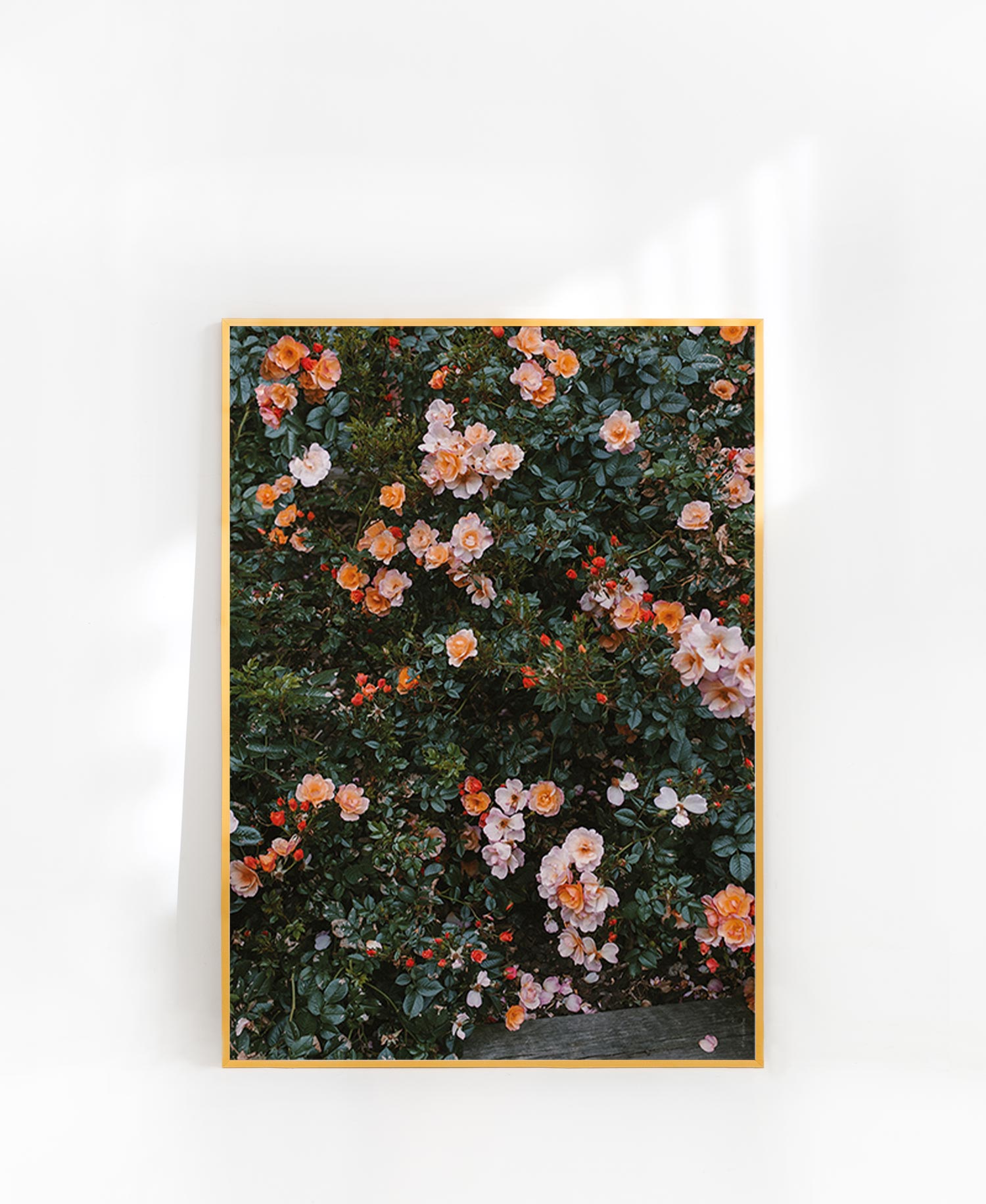 파인리틀 장미포스터 거실 액자