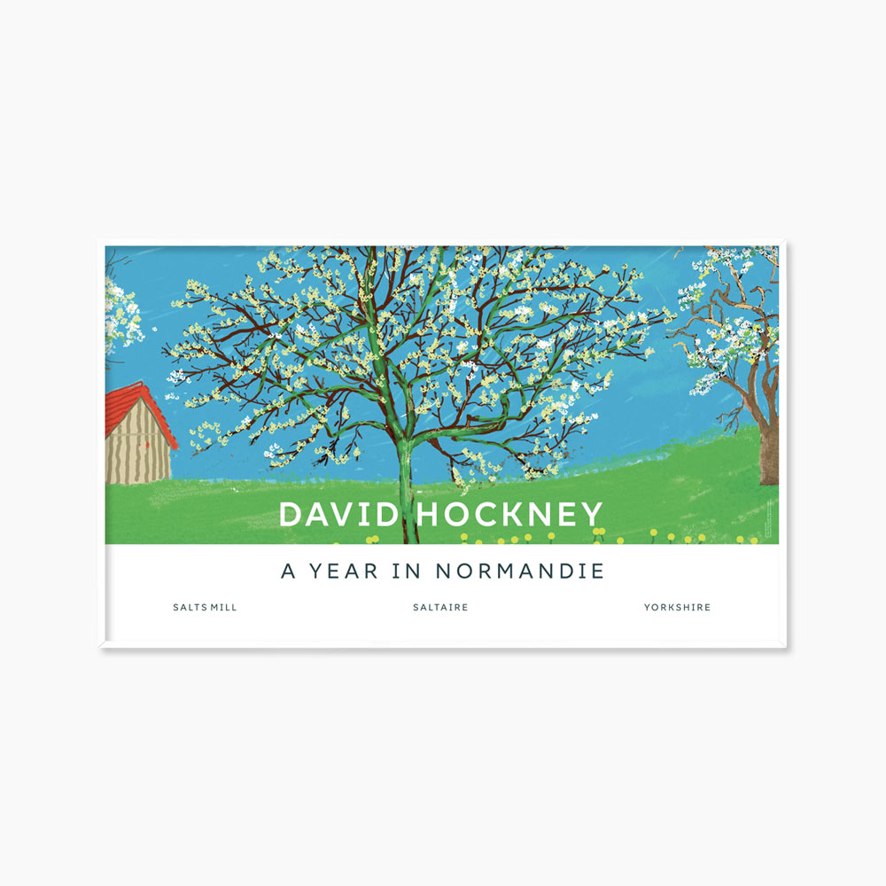 [데이비드 호크니] Blossom Tree 99.5 X 58.5cm