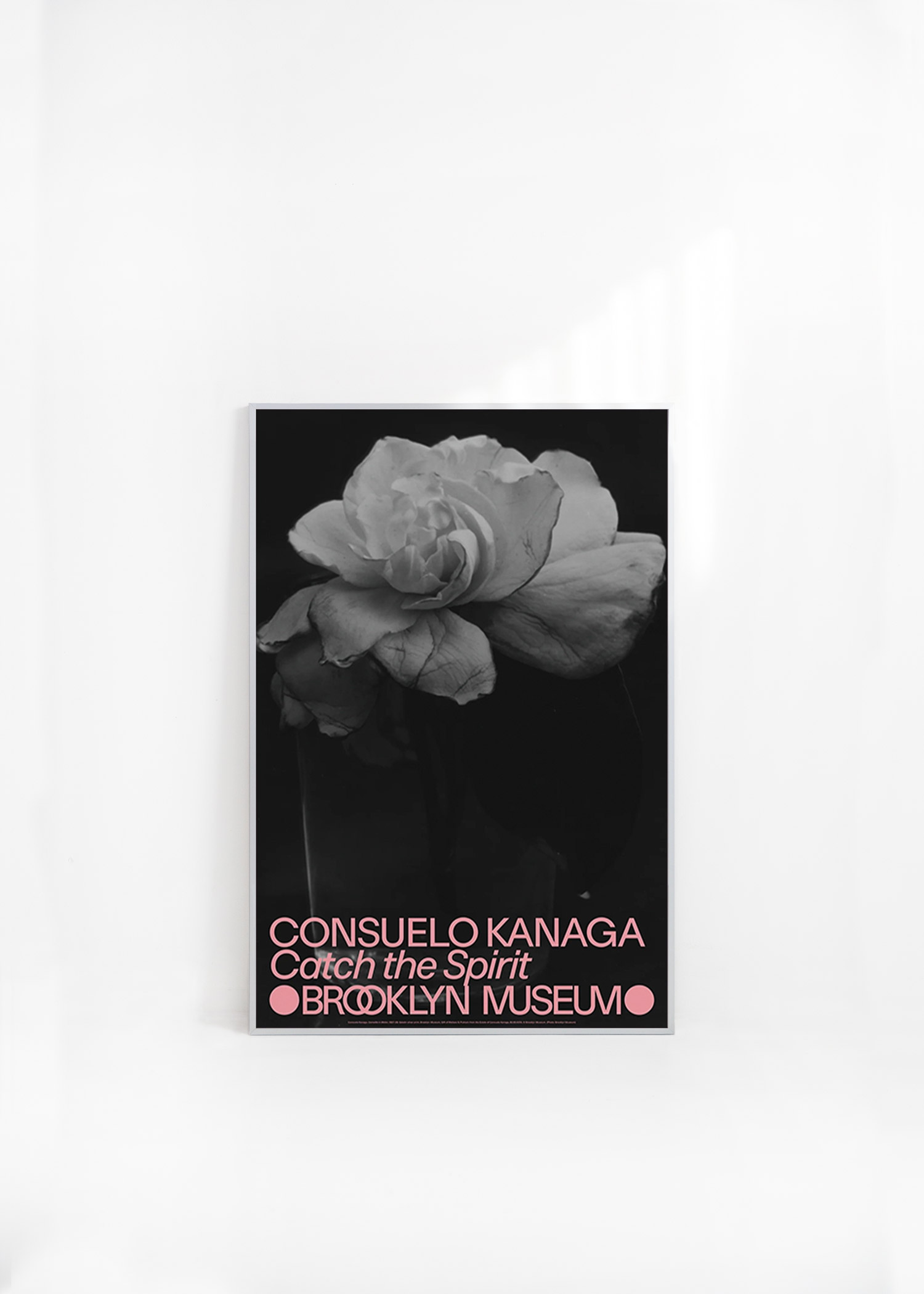 콘수엘로 카나가 흑백 사진 꽃 플라워 아트포스터 인테리어포스터 거실 액자