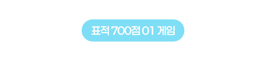 대형 과녁판 매트 (전용 파우치/활동지 제공)