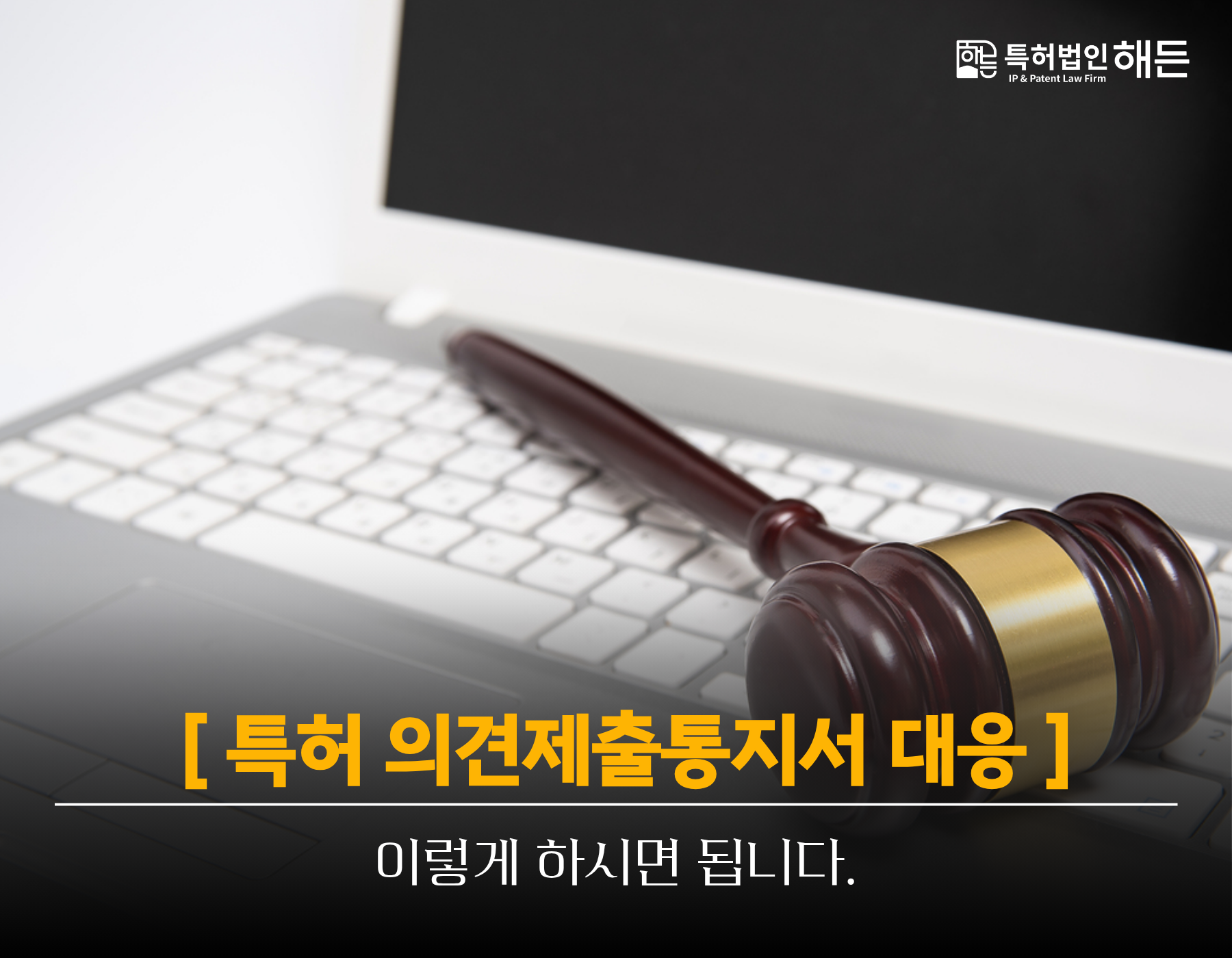 8686faee9469f.png