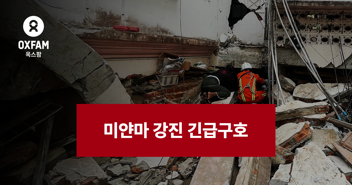 미마이인터네셔널 이미지