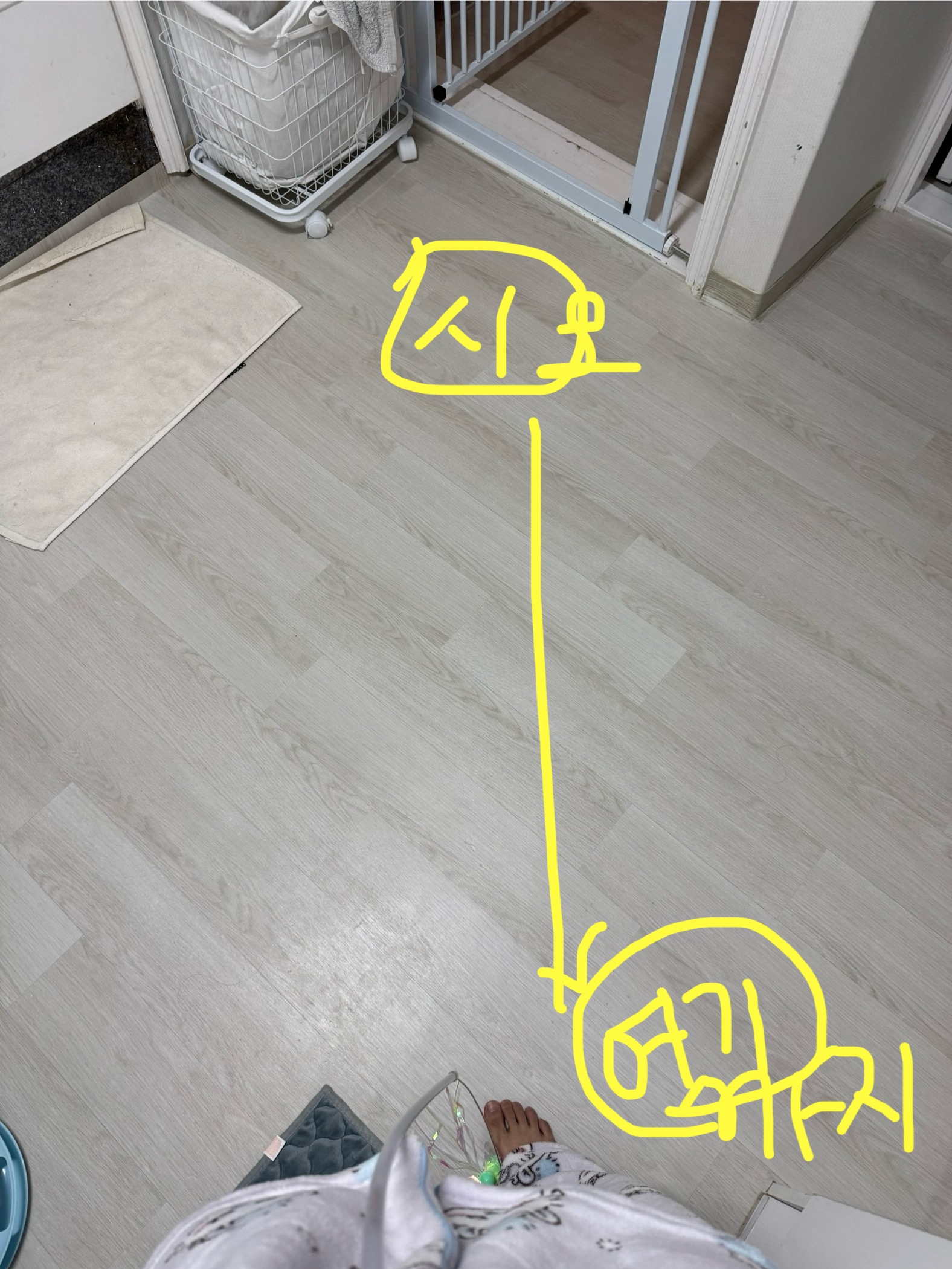 973c10286698d.jpeg