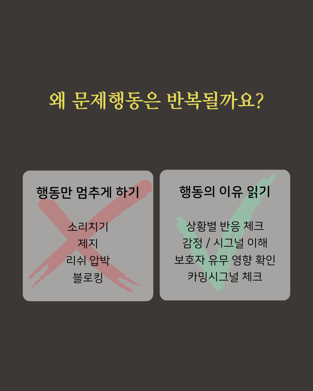 [내 반려견 내가 교육한다] 온라인 교육 신청 [옵션 선택 필수!]