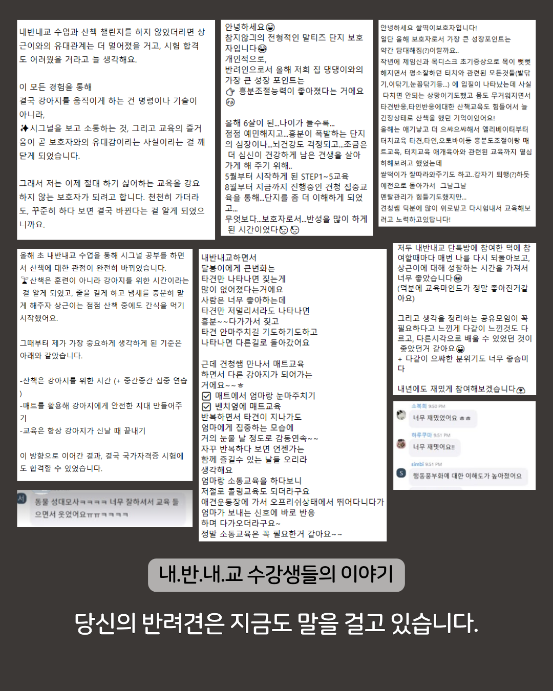 [내 반려견 내가 교육한다] 온라인 교육 신청 [옵션 선택 필수!]