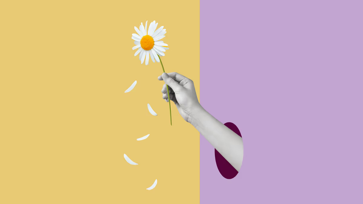 0b2df784f0e42.jpg