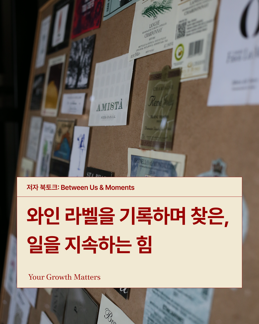 8e86adfb6e560.png
